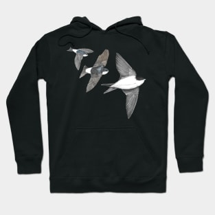 House Martins Hoodie